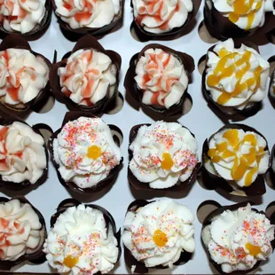 variety of tropical mini cupcakes