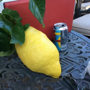 Largest Lemon