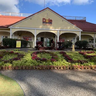 Dole Plantation