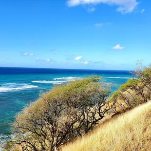 Diamond head lookout
