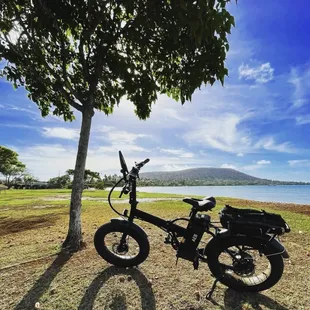 AEB Folding Fat Tire. Photo by Eric Alcantara