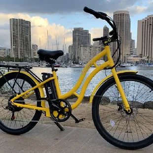 SanEagle Beach Cruiser