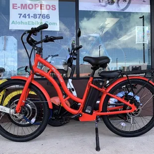 SanEagle Beach Cruiser