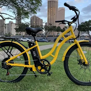 SanEagle Beach Cruiser