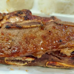 a plate of meat and rice
