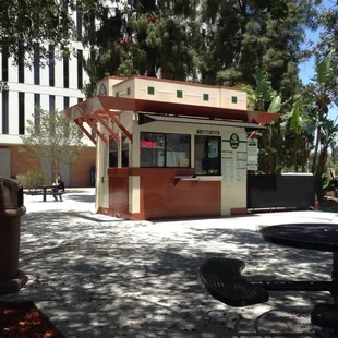 Summer time - no line :)