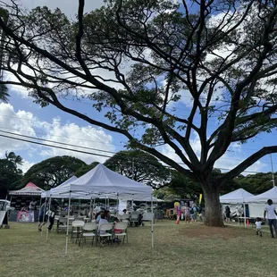 a large tree in the foreground
