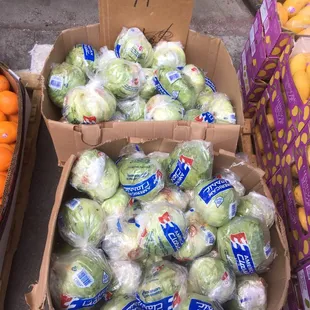 Lettuce 2 for $1