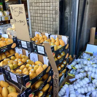 a variety of fruits and vegetables