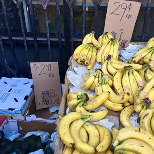 bananas and avocados for sale