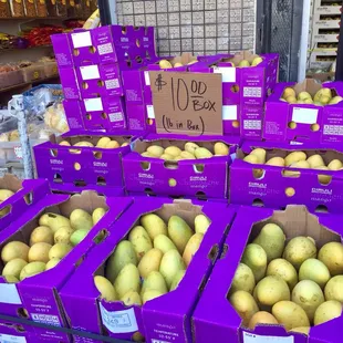 a display of mangoes