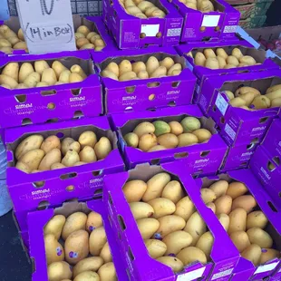 $10 for a box of 14 Ciruli brand champagne mangoes