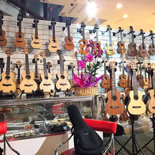 Our ukulele collection