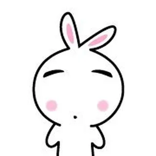 IdeaRabbit C.