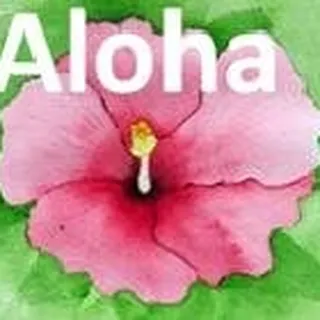 aloha-ellen m.