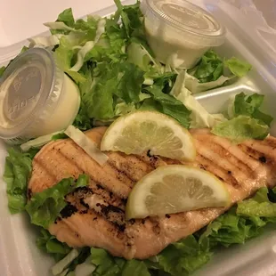 Grilled Salmon