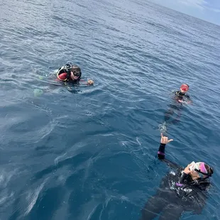 Scuba