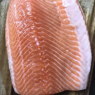 Salmon