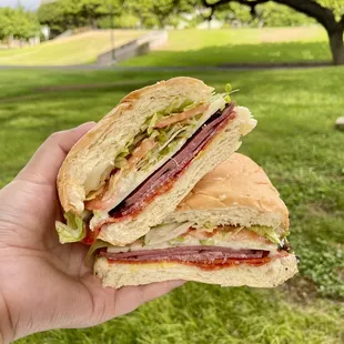 Alligator Rock Half Sub