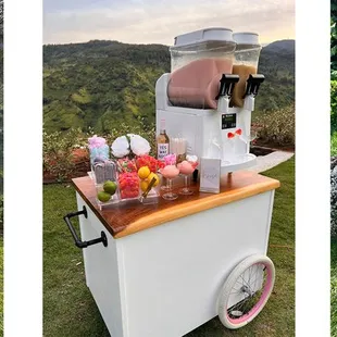 (1) Custom Greenery Fountain Wall 
(2) All new Slushie Cart- can be alcoholic or non-alcoholic
(3) Classic Fountain wall