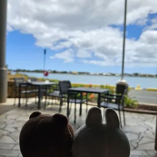 Some restaurants have a beautiful view...