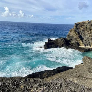 Blowhole area