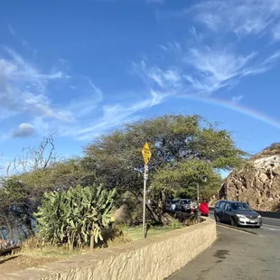 Rainbow