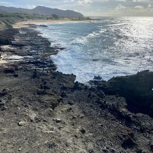 Blowhole area