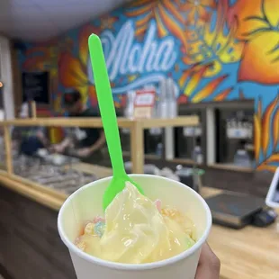 Aloha Yogurt