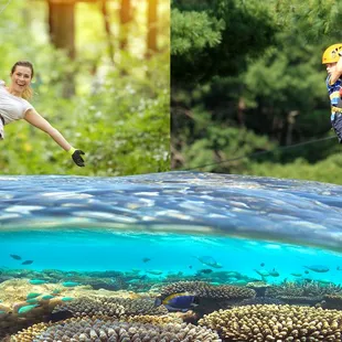 Zipline Snorkeling Adventure!