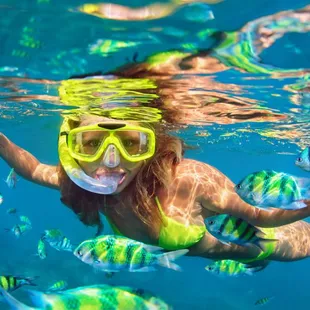 The fish here can be quite curious.