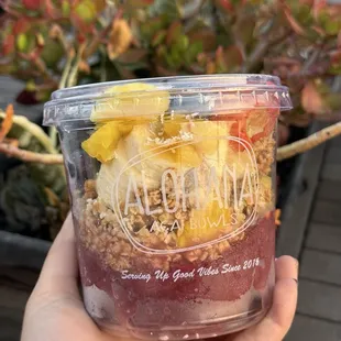 T-Street Bowl + pineapple