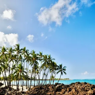 Secluded Beach Wedding