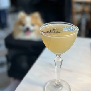 Prosperity of Time: Mahia, gin, allspice dram, lemon ($19)