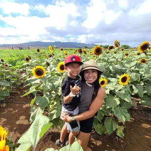 Found some sun flowers we're in height of! Lol!