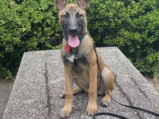 Marys Park Playground