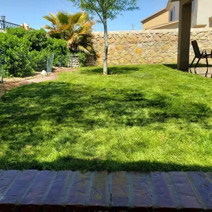 Natural Grass installation