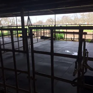 Our new paddocks with all new footings, rubber matts and new auto waters... fabulous with their private pasture with one buddy