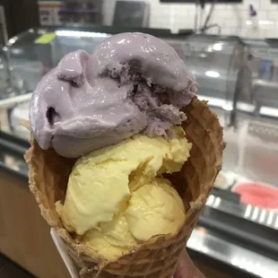 Lavender Honey and Lemon Lavender