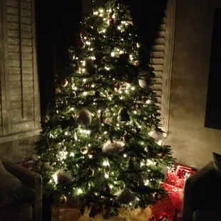 Another awesome tree