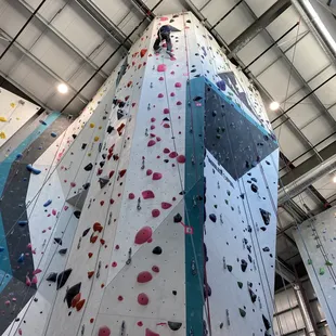 On one of the climbing walls! I believe this one was 55 feet tall.