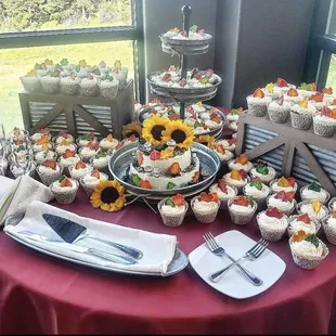 Wedding Cake and Cupcake Display
