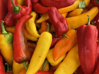 Monona Farmer's Market