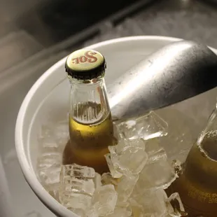 two bottles of beer in ice
