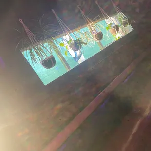 the sun shining through the window