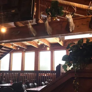 This was just one section. The restaurant is very large.