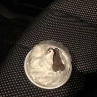 Free dog bowl for Sydney!  She was a good girl!