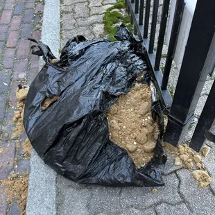 Torn trash bag outside dumpter area