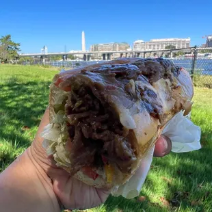 Bulgogi Steak Sandwich