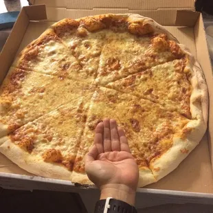 New York Pizza